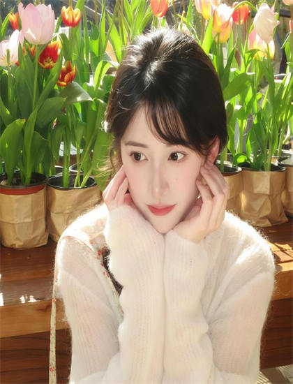 辛巴达七航妖岛故事脉络梳理：主线与支线情节完整解读，4K超清